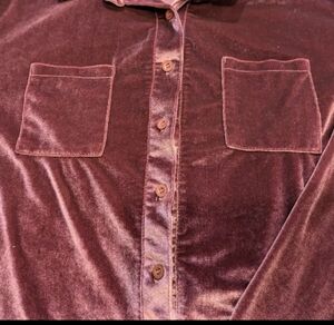 Women's Crushed Velvet Shirt in Plum (Tried on but never worn out.) Size Large